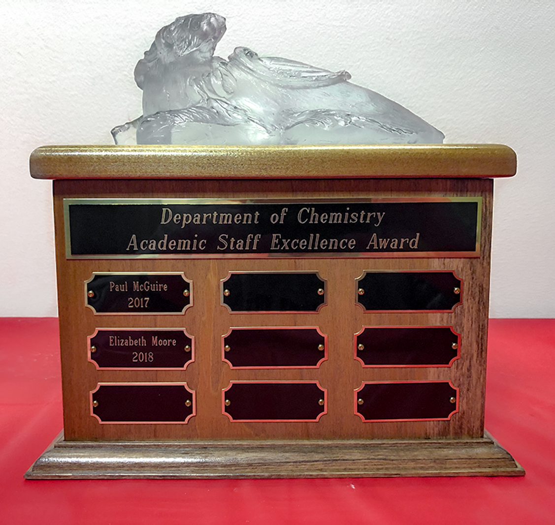 UW Department of Chemistry Annual Academic Staff Award  
