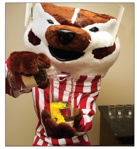 Bucky Badger's Experiment - What ingredients did he use?