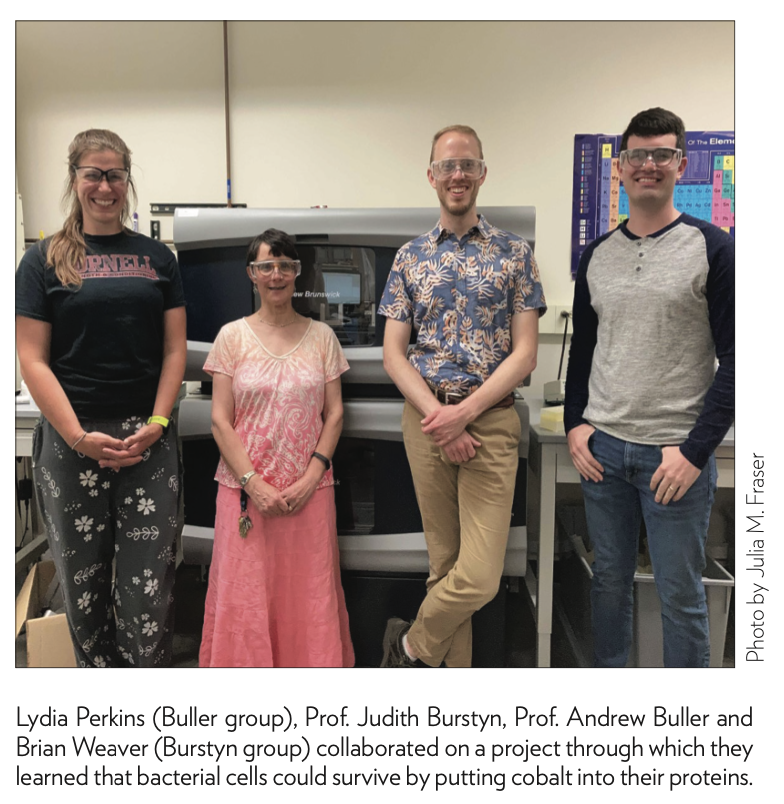 Lydia Perkins (Buller group), Prof. Judith Burstyn, Prof. Andrew Buller and Brian Weaver (Burstyn group) collaborated on a project through which they learned that bacterial cells could survive by putting cobalt into their proteins.